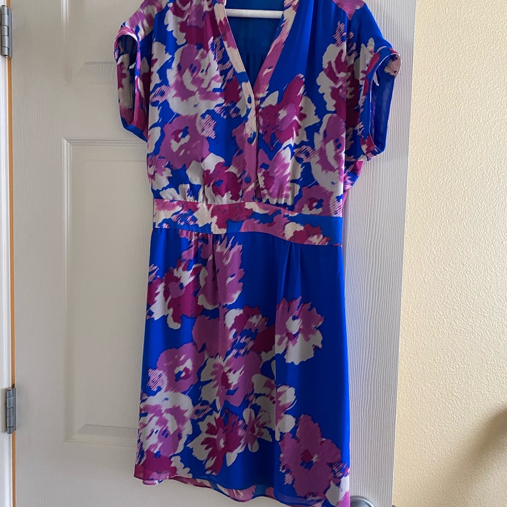 Eliza dress size 10P
